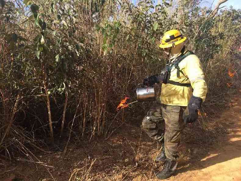 Agente realiza queima prescrita no Cerrado