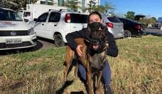 O que  um dog walker, profissional que passeia com o cachorro dos outros