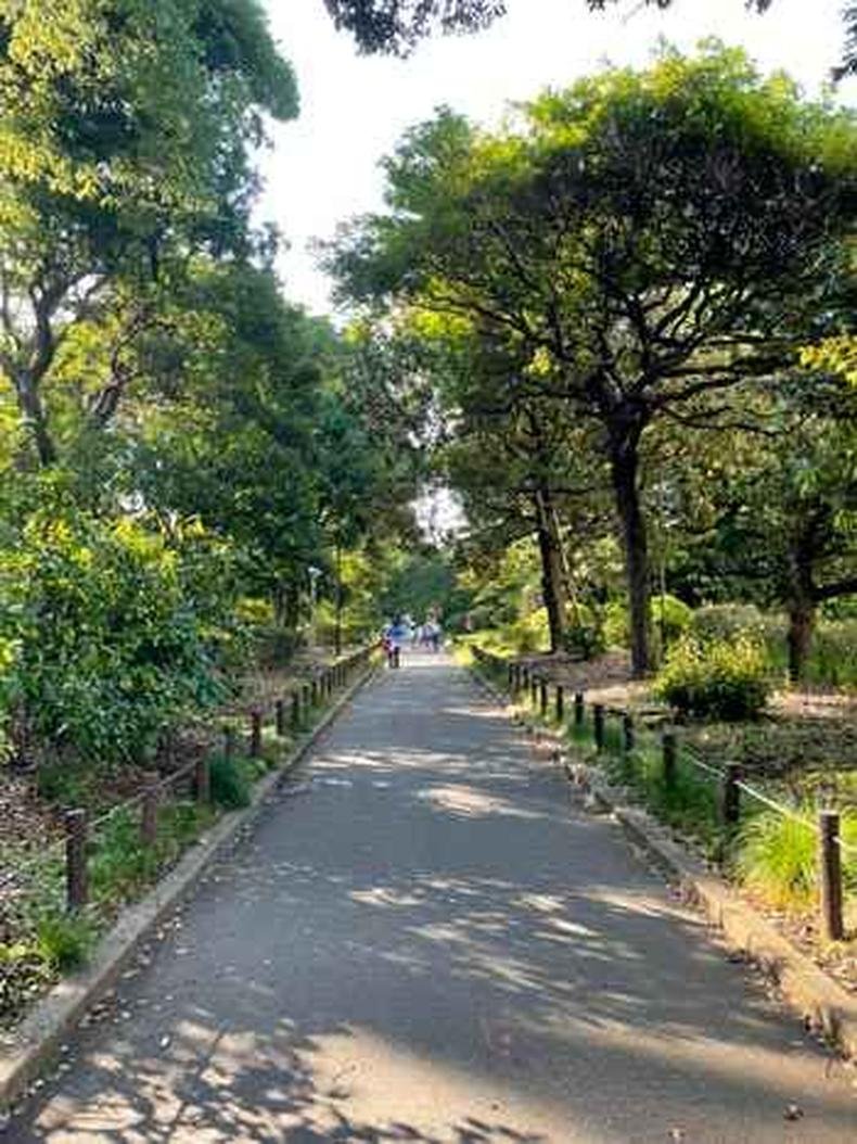 Parques s�o uma esp�cie de ref�gio: de ora��es a caminhadas(foto: Jo�o V�tor Marques/em/d.a press)