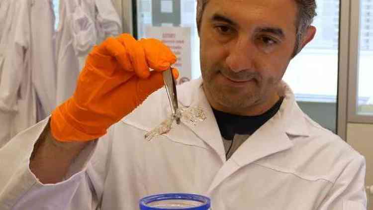 Ali Ertrk segurando rato transparente com pina em laboratrio