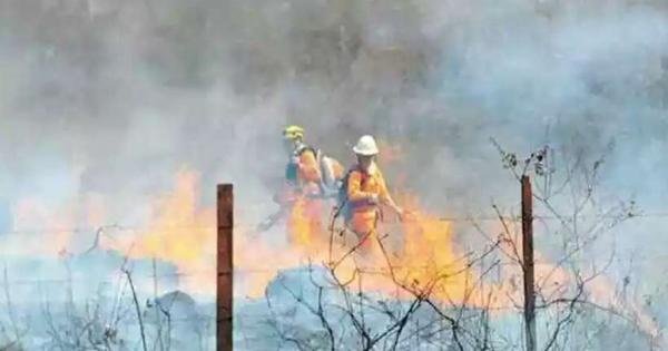  Onda de calor em Minas pode aumentar risco de incêndios florestais  
