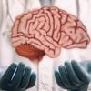 Por que ainda não é possível fazer um transplante de cérebro