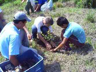 220 mil mudas de rvores j foram plantadas nas nascentes do Rio Jaguari (foto: Divulgacacao/Prefeitura de Extrema, MG )