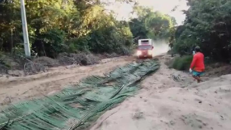 Para resolver problemas logísticos, é preciso criatividade, como usar folhagem para desatolar caminhões(foto: Projeto Saúde e Alegria) Para resolver problemas logísticos, é preciso criatividade, como usar folhagem para desatolar caminhões(foto: Projeto Saúde e Alegria)