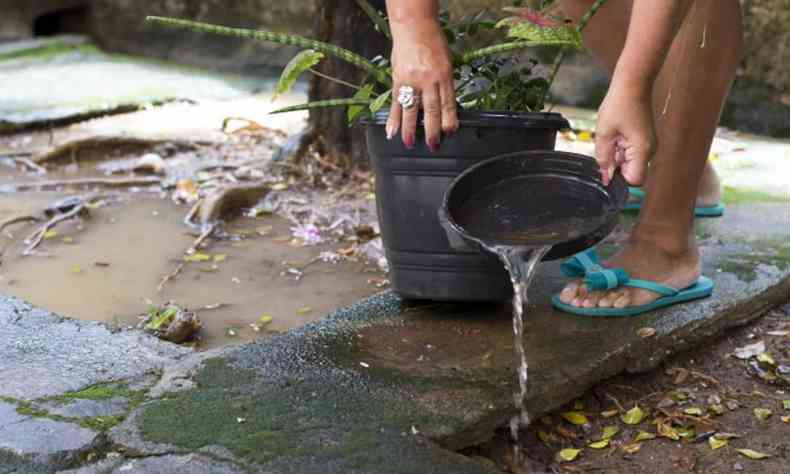 Cidadã tira água acumulada de vaso de planta