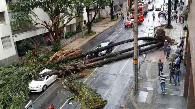 Queda de rvore provoca a morte de uma pessoa na Rua TimbirasGladyston Rodrigues/EM/D.A. Press