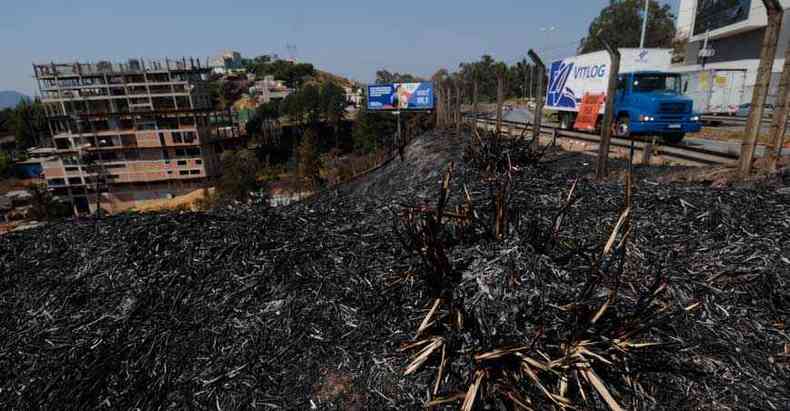 rea de vegetao consumida pelas chamas  beira de rodovia em Nova Lima, em drama que se repete todos os anos no estado(foto: Leandro Couri/EM/D.A Press)