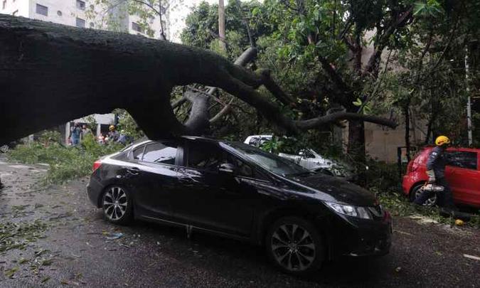 Em um dos frequentes incidentes envolvendo quedas de árvores, carro foi atingido na Rua Timbiras, em 28 de fevereiro(foto: Leandro Couri/EM/D.A Press) Em um dos frequentes incidentes envolvendo quedas de árvores, carro foi atingido na Rua Timbiras, em 28 de fevereiro(foto: Leandro Couri/EM/D.A Press)