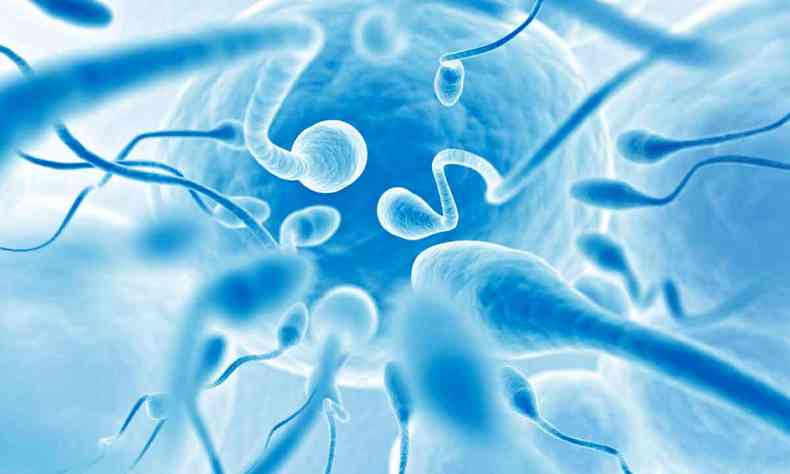 Ilustração mostra espermatozoides avançando sobre óvulo 