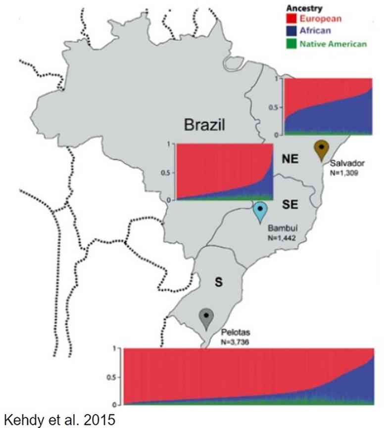 Grfico que mostra a composio gentica da populao de Pelotas, Bambu e Salvador