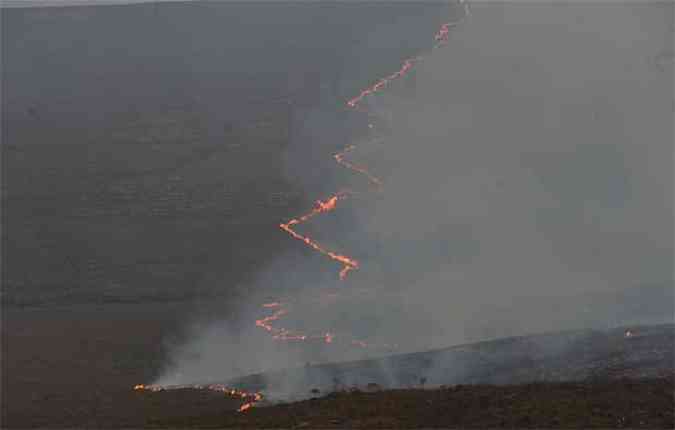 At dia 14 de outubro, foi calculado 2.490 hectares de rea queimada(foto: Leandro Couri/EM/D.A Press)