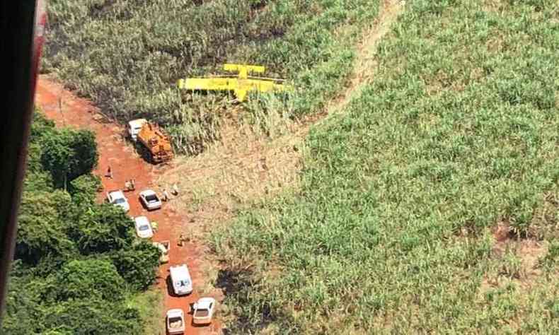 Avio caiu em canavial. Hiptese e quem tenha sido um pouco forado(foto: CBMMG/Divulgao)