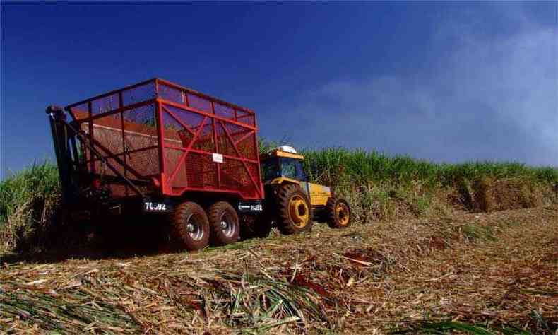 Brasil assinou acordo para a reduo de 144 mil toneladas de acar em alimentos industrializados at 2022 (foto: Marcos Michelin/EM/D.A Press 03/05/2006)