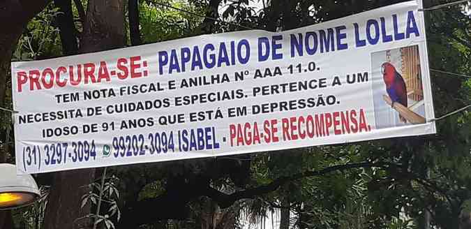 Famlia espalhou faixas por ruas e comrcios do Bairro Santo Agostinho, na Regio Centro-Sul da cidade. Animal  natural de Papua-Nova Guin, na OceaniaArquivo Pessoal