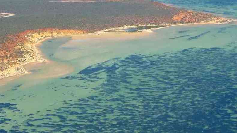 Vista aérea da planta na baía Shark, na Austrália Ocidental