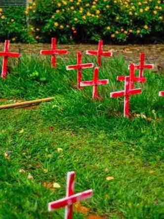 Cruzes na Fafich simbolizaram a morte dos animais(foto: Marina Passos)