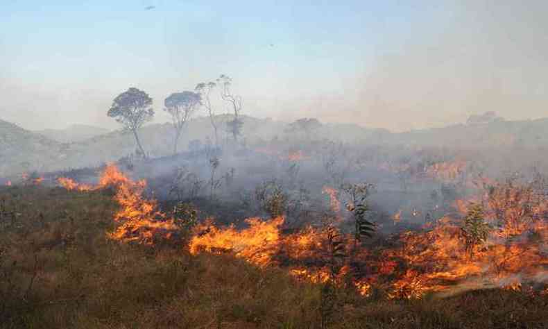 Incndio no parque da Serra do Cip chega, nesta quarta-feira, ao sexto dia(foto: Beto Novaes/EM/DA Press)
