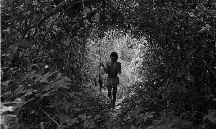 Criana caminha pela floresta em fotografia deOctvio Cardoso
