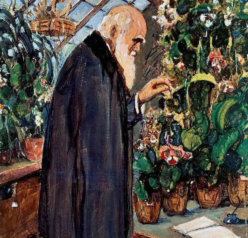 Retrato de Charles Darwin (1809) pintado por John Collier (1850-1934).