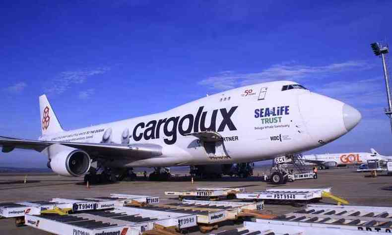O quinto carregamento deste ano chegou em um Boeing 747 vindo de Luxemburgo(foto: BH Airport/Divulgao)