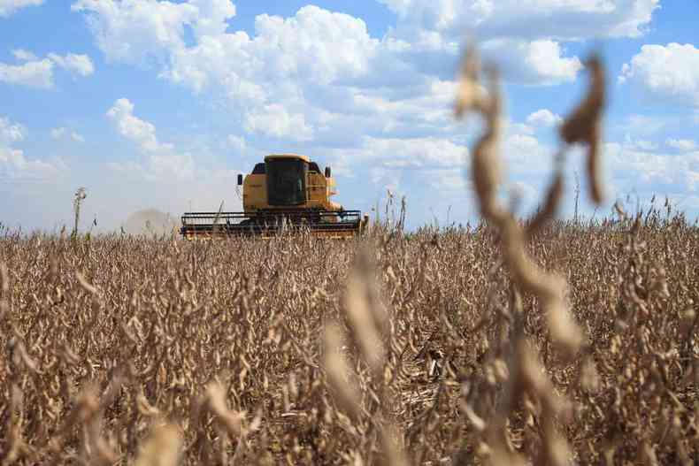 A Monsanto, maior produtora mundial de soja, pode ficar sem a prxima safra(foto: Divulgao Monsanto)