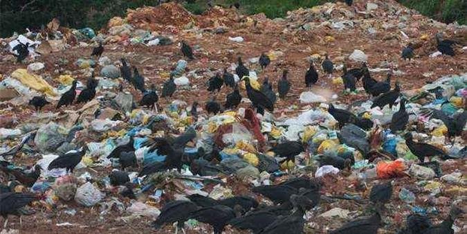 Lixões, como o de Conselheiro Lafaiete, na Região Central, são grave problema em 16,9% dos municípios mineiros, segundo levantamento da Abrelpe(foto: MARCOS MICHELIN/EM/D.A PRESS - 13/12/11) Lixões, como o de Conselheiro Lafaiete, na Região Central, são grave problema em 16,9% dos municípios mineiros, segundo levantamento da Abrelpe(foto: MARCOS MICHELIN/EM/D.A PRESS - 13/12/11)