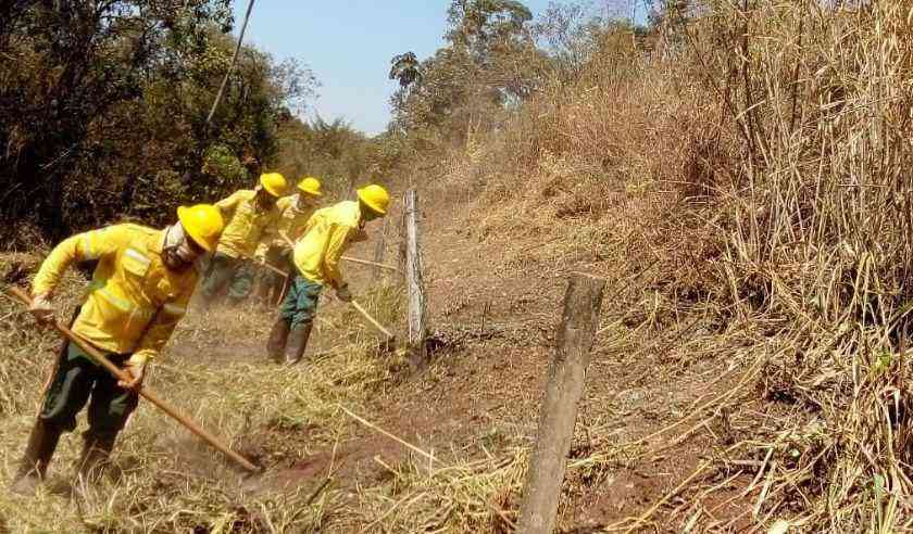 Brigada Florestal ICMBio