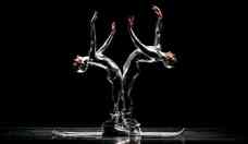 Momix faz 40 anos e continua surpreendendo o mundo com suas coreografias
