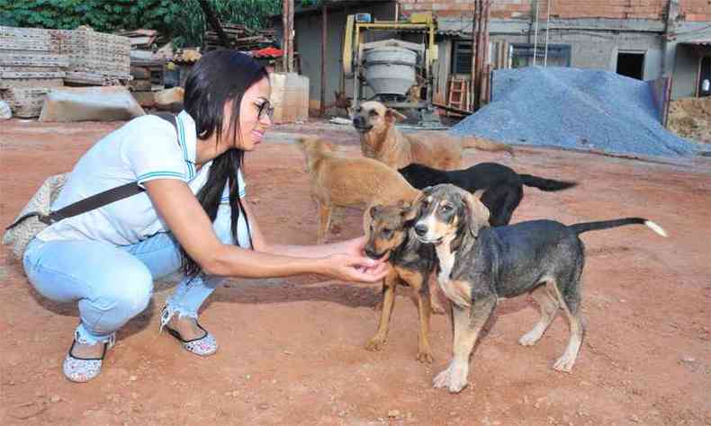 A auxiliar de veterinria Geisa Santos se sensibilizou com a situao dos animais e os alimenta(foto: Marcos Vieira/EM/D.A Press)