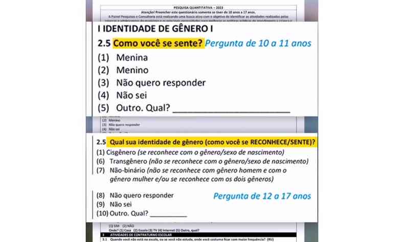 Captura de tela de trecho da pesquisa que trata de 'Identidade de gnero'