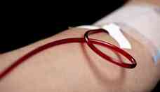 Por que brasileiros no podem doar sangue em alguns pases