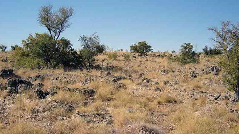 Paisagem de prados e arbustos em Riversleigh, Austrlia