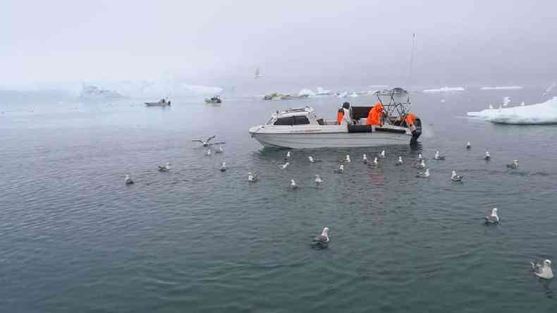 Um barco de pesca cercado por gaivotas
