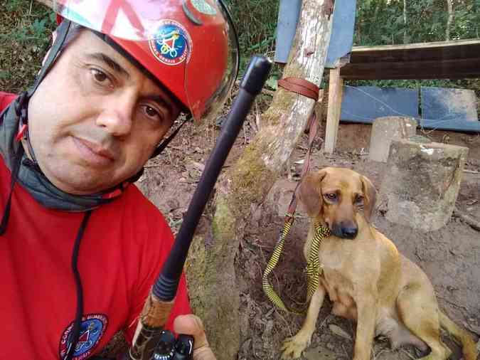 Cachorros foram encontrados durante buscas por vtimas da tragdia de BrumadinhoDivulgao/ Corpo de Bombeiros
