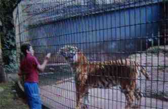 Garoto de 11 anos foi atacado por um tigre no Zoolgico de Cascavel, no Paran (foto: Catve.com/Reproduo)