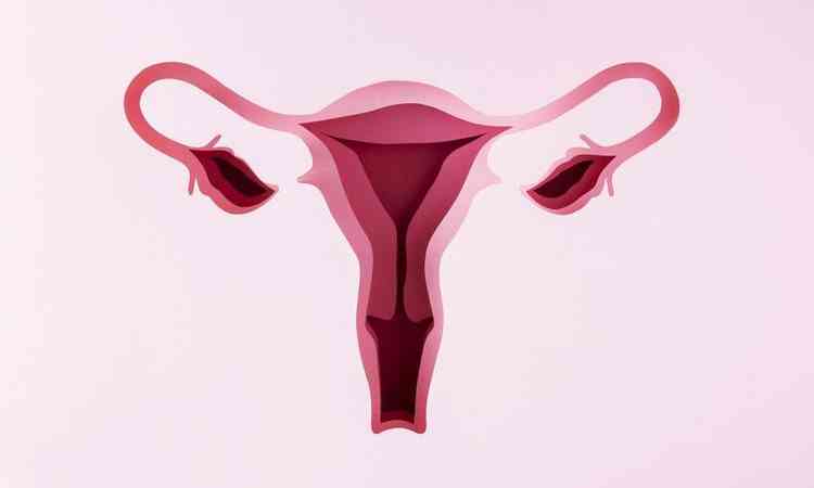 ilustrao do colo uterino, colo do tero