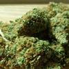 Uso de cannabis está ligado a menor gravidade dos sintomas da COVID-19