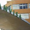 Anvisa autoriza ensaio clínico de vacina tetravalente contra influenza 