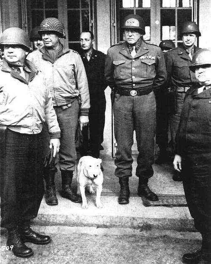 Patton e seu inseparvel co Willie. A foto tirada entre 1944/1945. Detalhe do uniforme desenhado pelo prprio general e a pistola colt.(foto: Exrcito U.S.)
