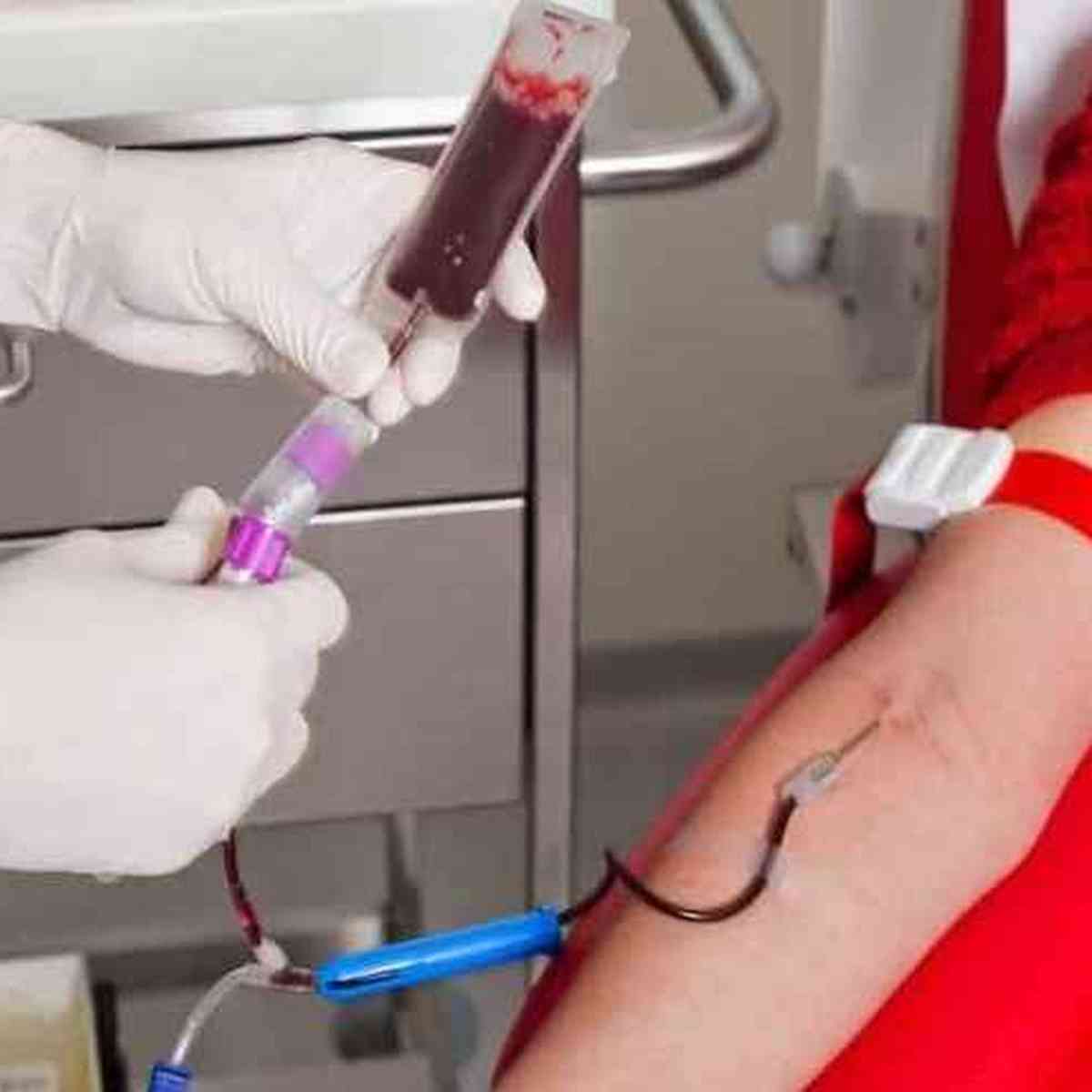 Veja os horários para doação de sangue no Hemominas durante a