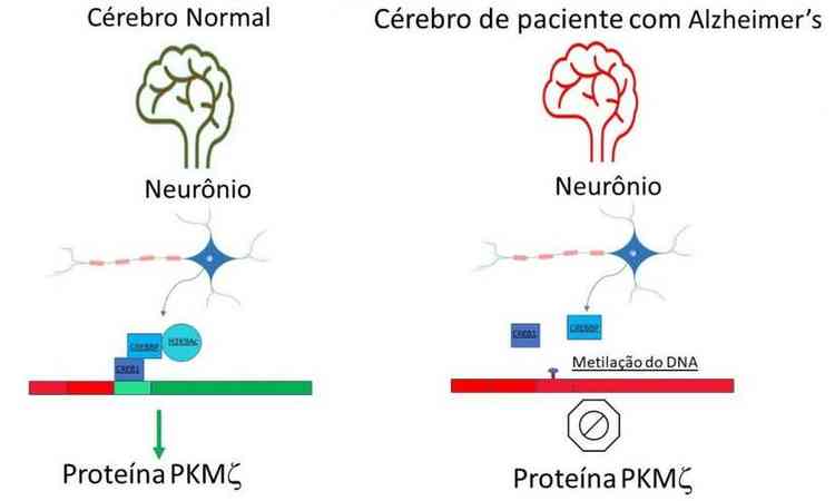 ilustrao de neurnios