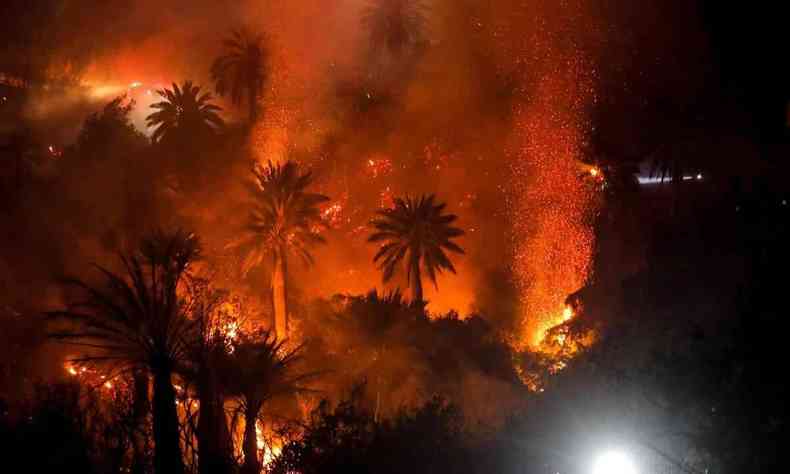 Foto feita  noite mostra claro do fogo em meio a uma floresta