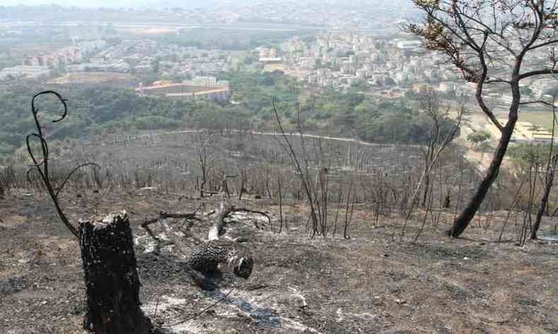 Parte da rea que foi queimada pelo incndio Parque Estadual Serra Verde, na Regio de Venda Nova