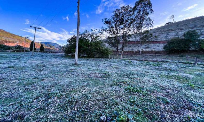 Geada em Maria da F, na grama e nas rvores 