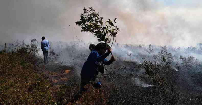Homens combate focos de incndio na Amaznia. Bloqueio de verbas poderia paralisar aes e ampliar incndios na floresta (foto: Carl de Souza/AFP)