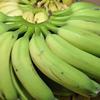 Fibra presente na banana  e na batata ameniza a gordura no fígado