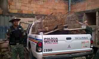 (foto: Polcia Militar de Meio Ambiente/Divulgao)