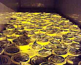 A PMRv apreendeu cerca de 7 toneladas de queijo na MGC-120(foto: Divulgao / PMRv)
