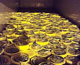 A PMRv apreendeu cerca de 7 toneladas de queijo na MGC-120(foto: Divulga��o / PMRv)