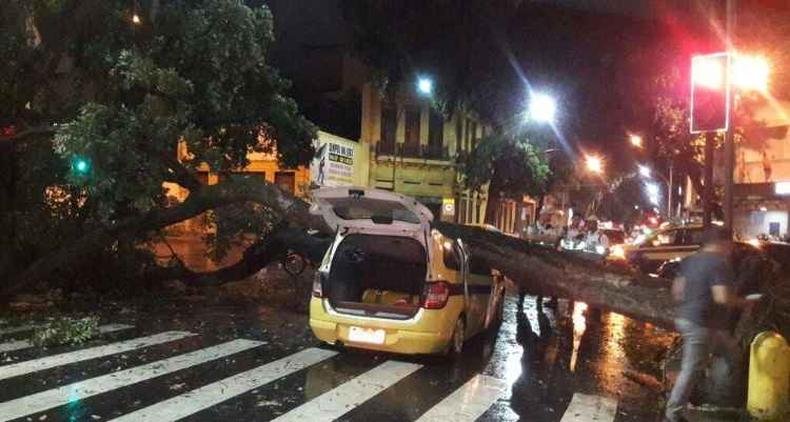 Na região da Lapa, a Avenida Gomes Freire foi interditada na altura do nº 380, devido à queda de uma árvore sobre carro(foto: Reprodução/Twitter/Centro de Operações Rio) Na região da Lapa, a Avenida Gomes Freire foi interditada na altura do nº 380, devido à queda de uma árvore sobre carro(foto: Reprodução/Twitter/Centro de Operações Rio)